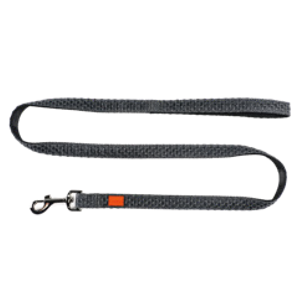 Leash for Dogs